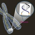 Beauty Begins in the Brain (Part Three)