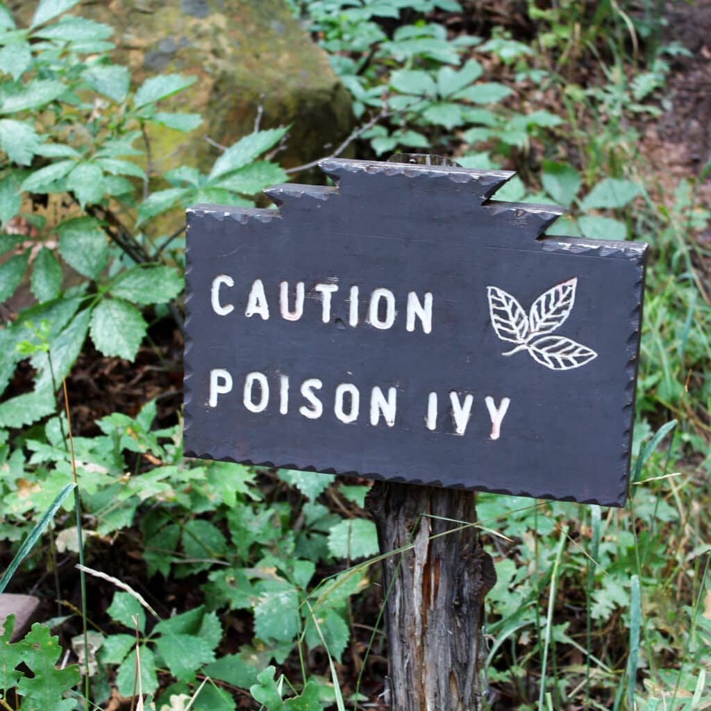 Poison Ivy of the Mind