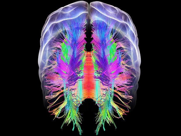 Serotonin's Role in Depression and Willpower (and how to make more)